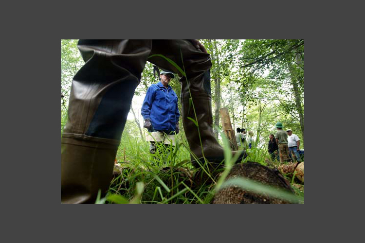 Palm Springs Living Room Detail